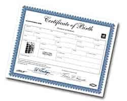 Birth Certificate 1996-02 Camaro SS