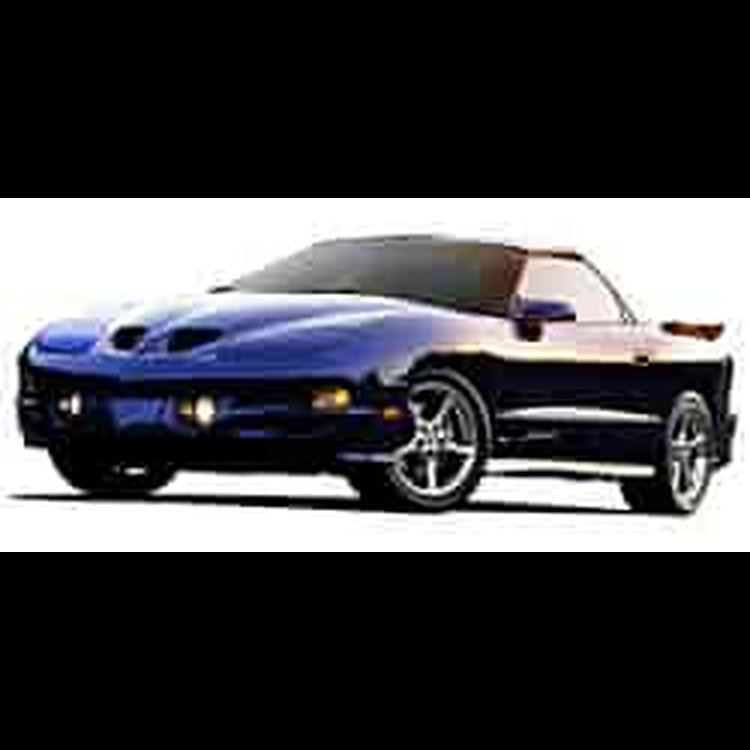 Hood Assembly 1998-02 Firehawk