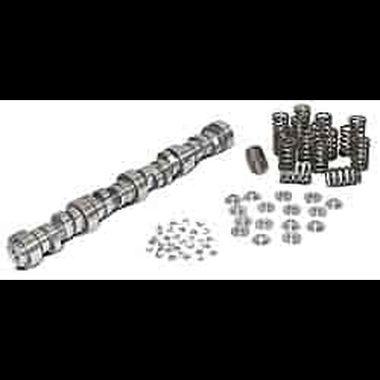 Camshaft Kit LS1 51013 Cam Springs Retainers Locks (Call for specs)