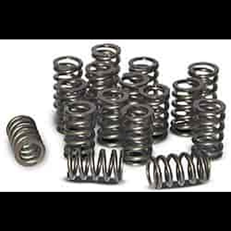 Valve Springs LS1 High-Performance (set of 16)
