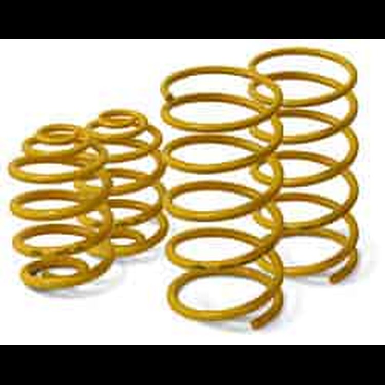 Springs 2004-06 GTO Lowering (set of 4)