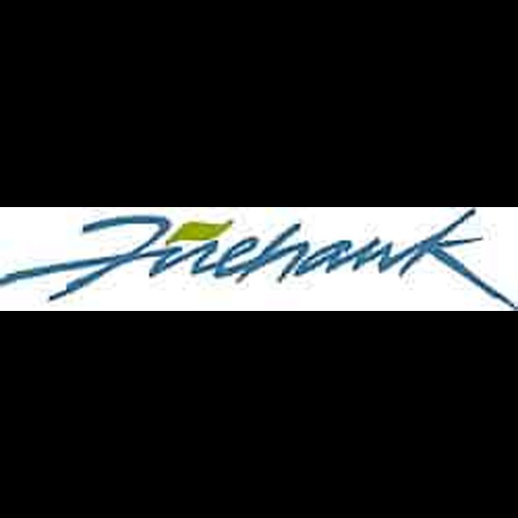 Decal 1993-02 Firehawk Small Blue