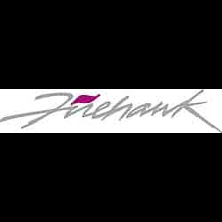 Decal 1993-02 Firehawk Small Silver