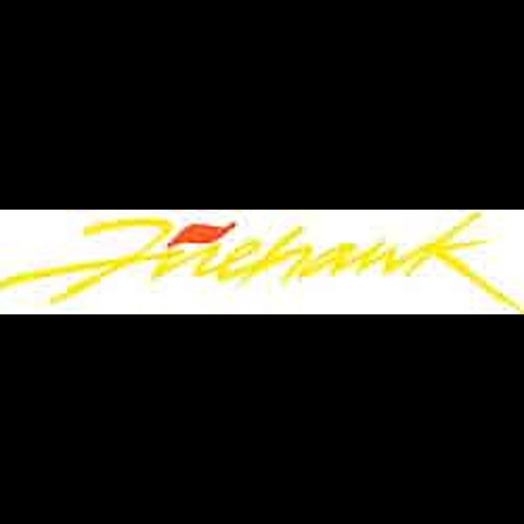 Decal 1993-02 Firehawk Large Yellow Door