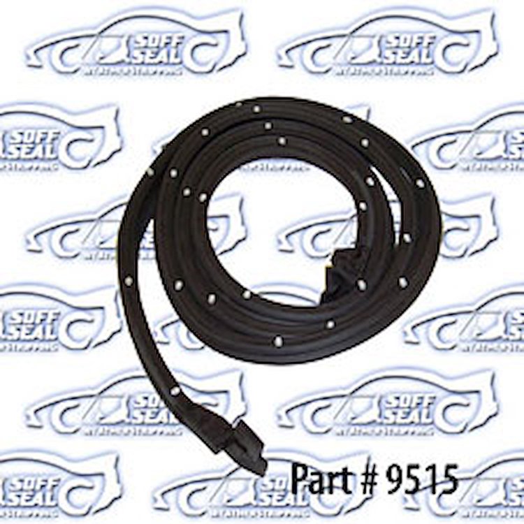 Door Weatherstrip W/ Clips & Molded Ends Left, Rear Cargo Door