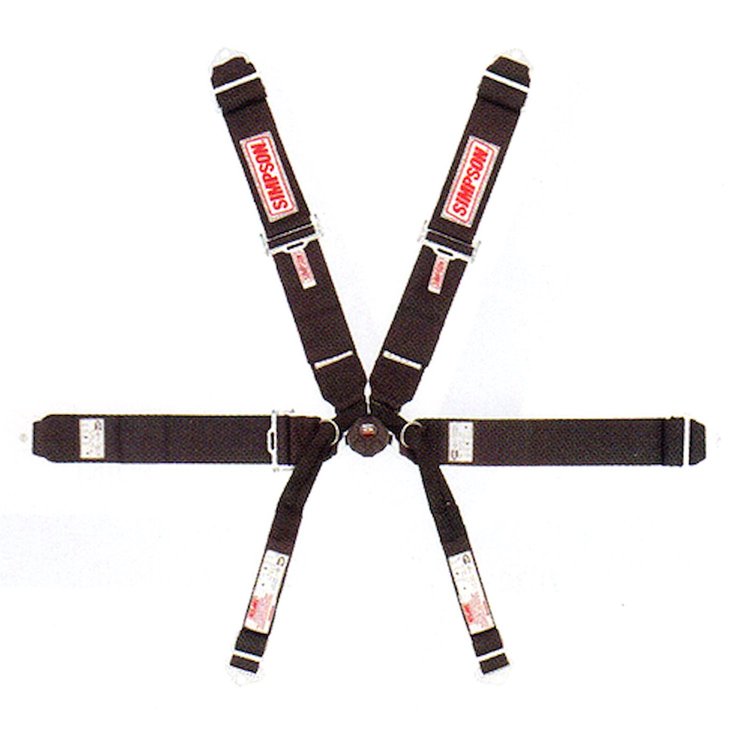Rotary Camlock 6-Point Individual Harness 55" Lap Belt Black Hardware