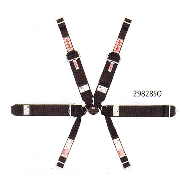 Rotary Camlock 6-Point Individual Harness
