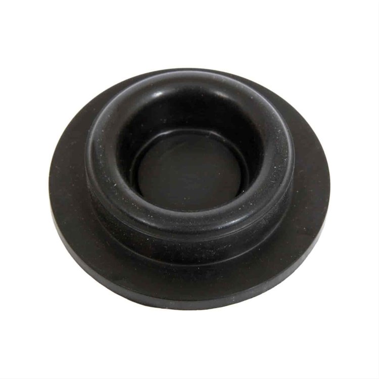 DIAPHRAGM