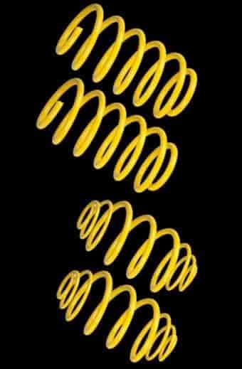 Suspension Techniques H/D SPRINGS REAR CAMARO