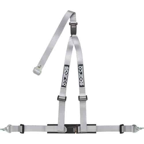 BELT 2 IN SLV 3PT DBL REL