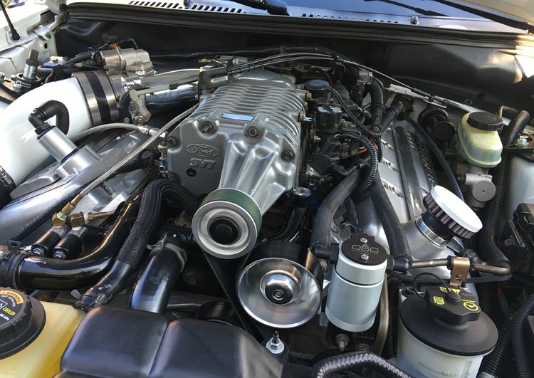 Oil Separator 3.0, Driver Side, Clear Anodized [1999-2004 Ford Mustang Cobra & 2003-2004 Ford Mustang Mach 1]