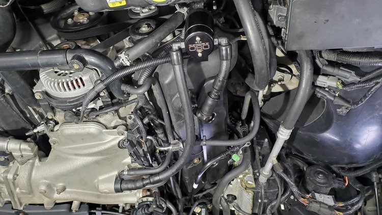 Oil Separator 3.0 Passenger Side, Black Anodized [2003-2004 Mercury Marauder]