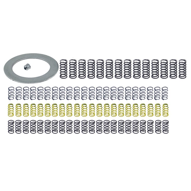 TH700-4L, 4L60 Clutch Spring Kit (HD-HP)