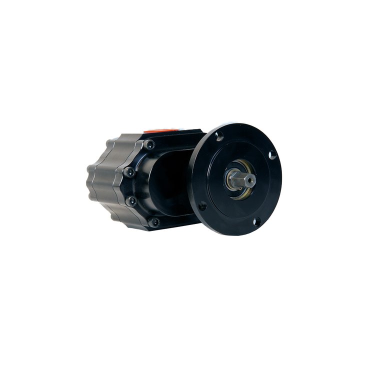 Nostalgia Bertha Fuel Pump w/Reverse Rotation, 4-Bolt Mount, 3/8 in. Hex Drive, Steel Center, and .650 in. Gear