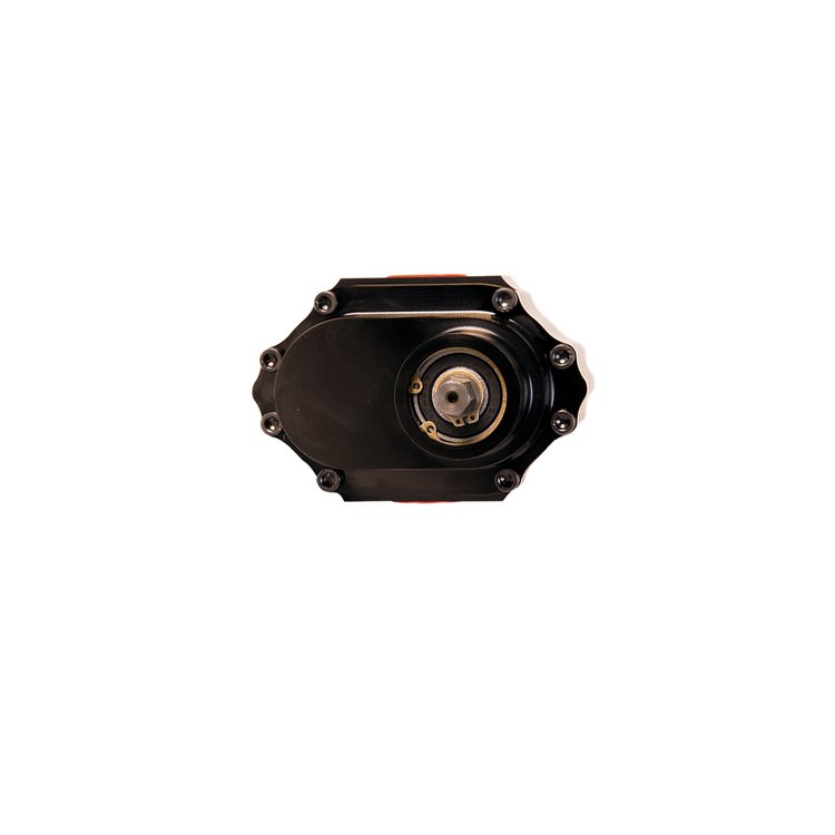 Nostalgia Bertha Fuel Pump w/Reverse Rotation, Slip Collar Mount, 3/8 in. Hex Drive, Steel Center, and .800 in. Gear