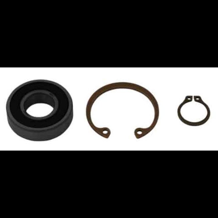 Service Rear Bearing Kit for Lil Bertha & Nostalgia Bertha Fuel Pumps