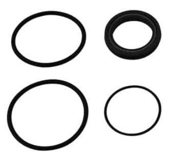 Service Rear Seal & EPDM O-Ring Kit for Lil Bertha & Nostalgia Bertha Fuel Pumps