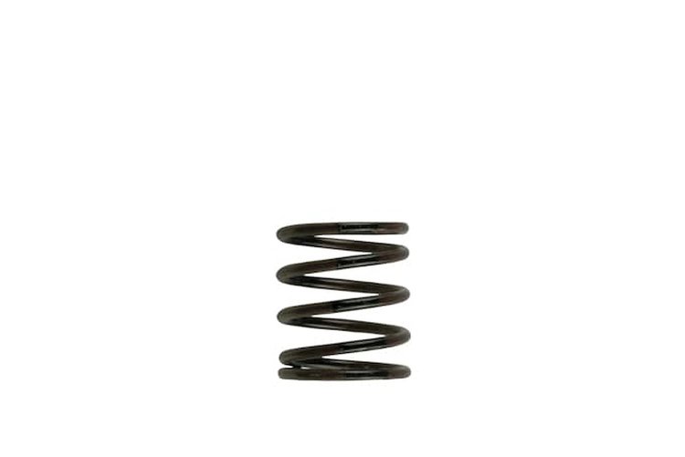 Wastegate Spring 3 psi (Brown/Black Inner Spring)