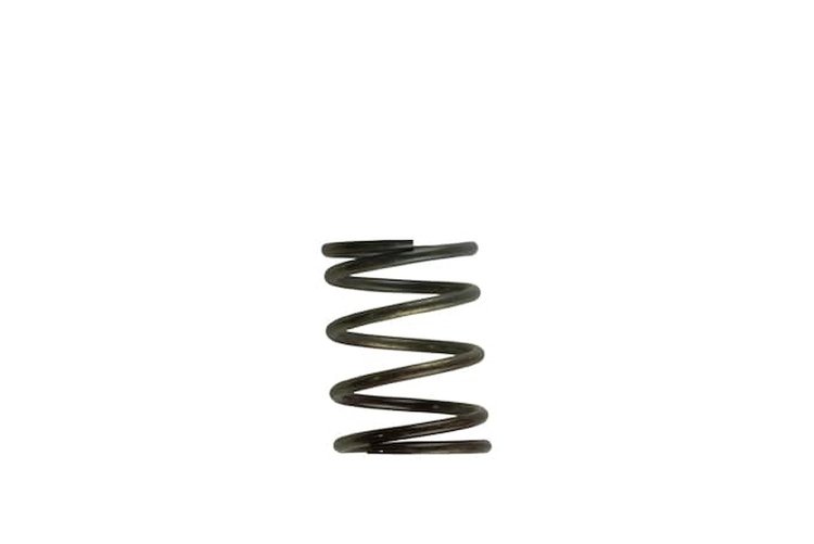 Wastegate Spring 5 psi (Brown/Gray Inner Spring)