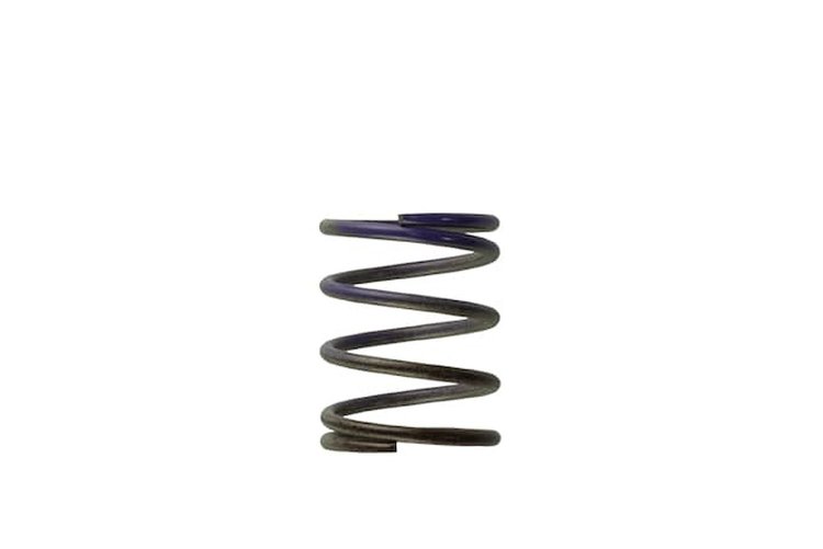 Wastegate Spring 7 psi (Brown/Purple Middle Spring)