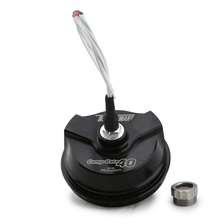 WG38/40 SENSOR CAP KIT