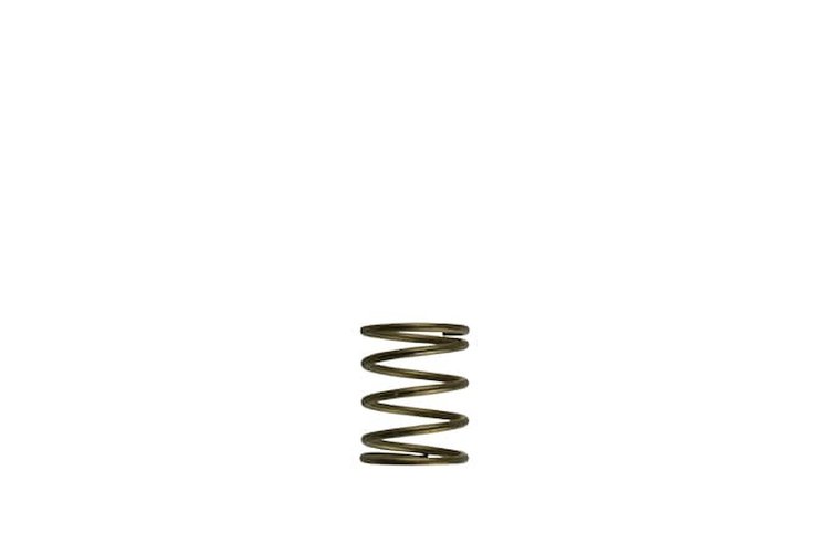 WG45/50 GEN-V 3PSI INNER