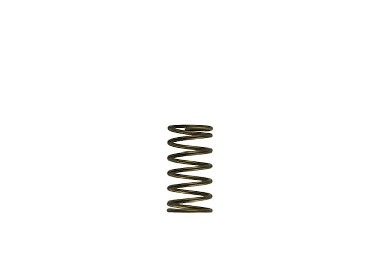 WG60 GEN-V 3PSI INNER SPR