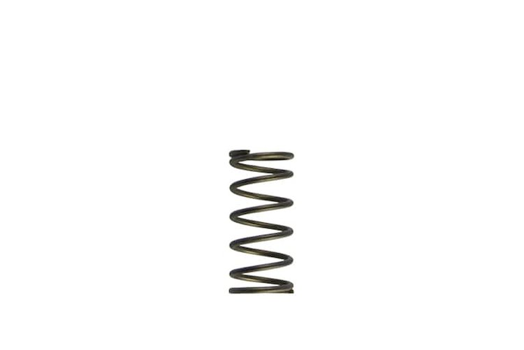WG60 GEN-V 5PSI INNER SPR