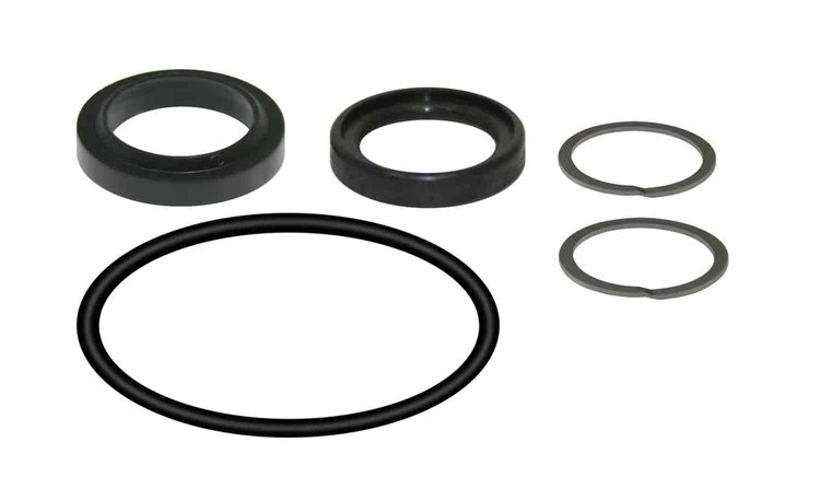 REPL. SEALS FOR 80000100