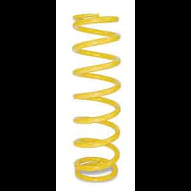 10" Coil-Over Spring Rate: 250 lbs