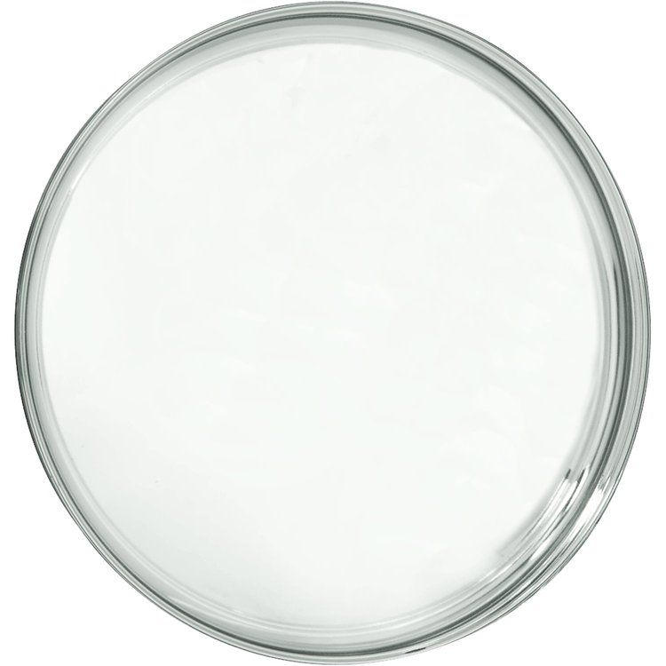 Baby Moon Center Cap Fits OE-Style Wheels with 10-1/8" Outside Knob