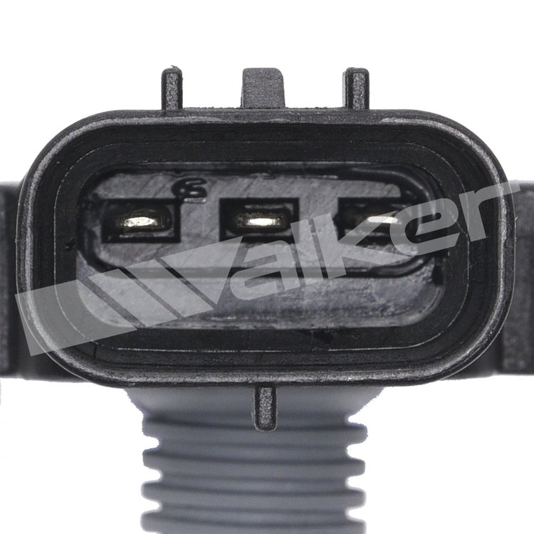MAP SENSOR
