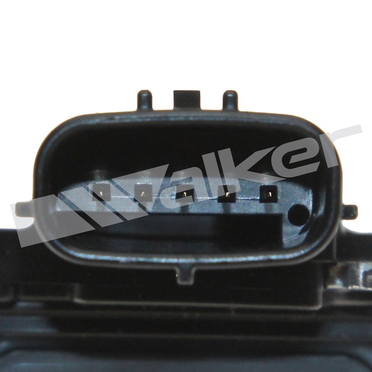 MASS AIR FLOW ASSEMBLY