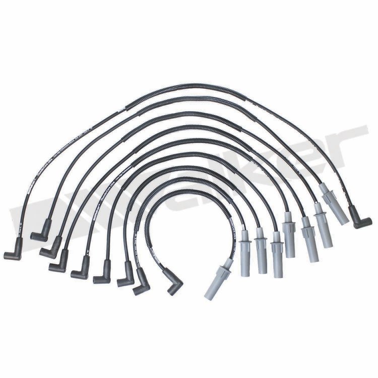 Wire Set Thundercore Standard