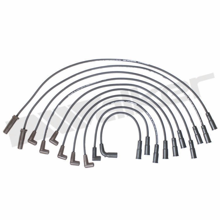 Wire Set Thundercore Standard