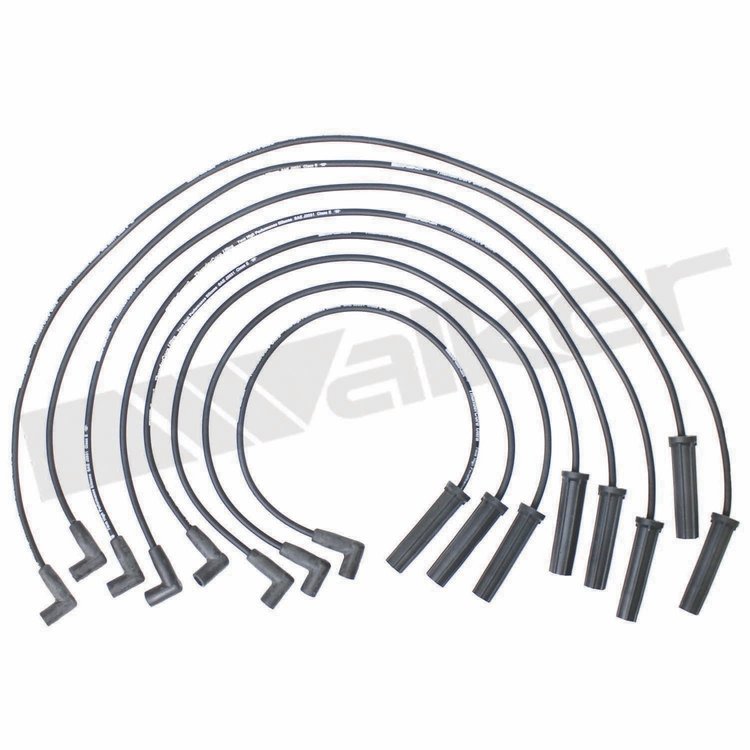 Wire Set Thundercore Standard