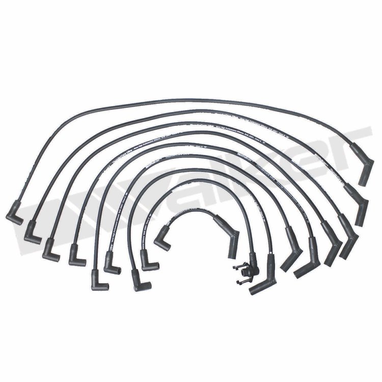 Wire Set Thundercore Standard