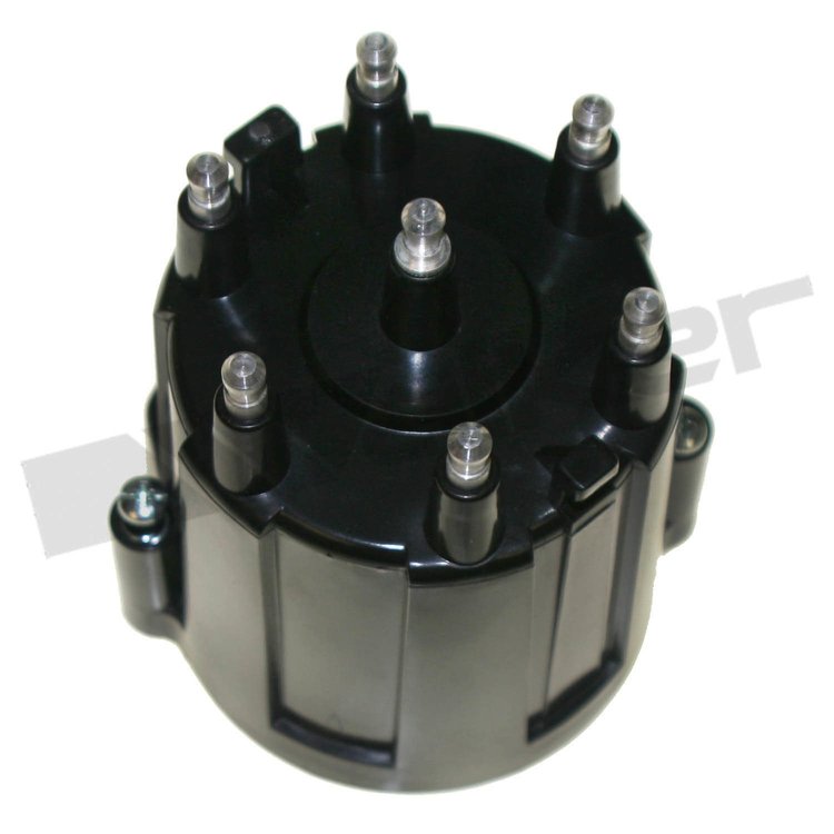 DISTRIBUTOR CAP