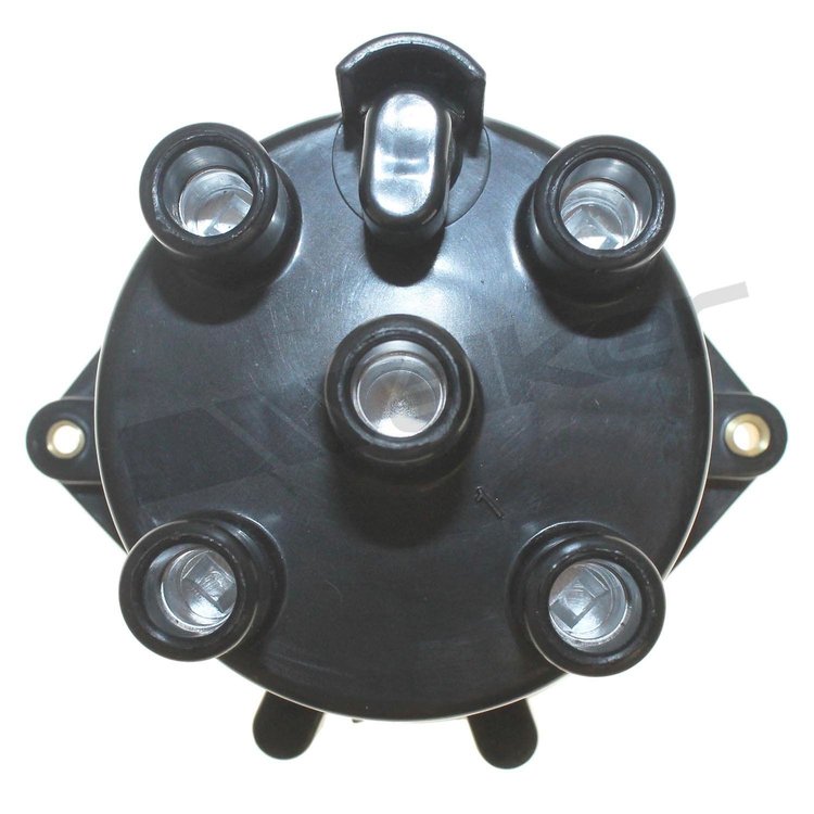DISTRIBUTOR CAP