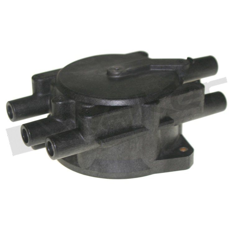 DISTRIBUTOR CAP