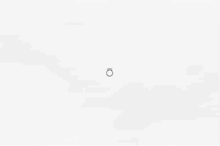 RETAINING RING EXTERNAL SH-25 BLACK