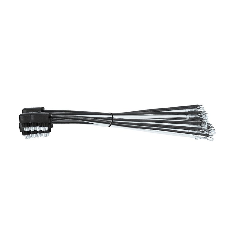 34210P50 2-Wire Pigtail With 2 Prong Plug