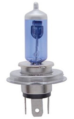 H4 60/55W HALOGEN BULBS X