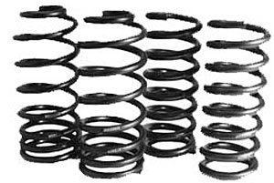 Sport Springs 2003-2004 Cobra