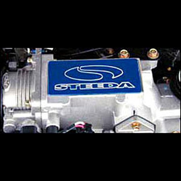 Nameplate for Intake Manifold 1996-2003 Mustang GT
