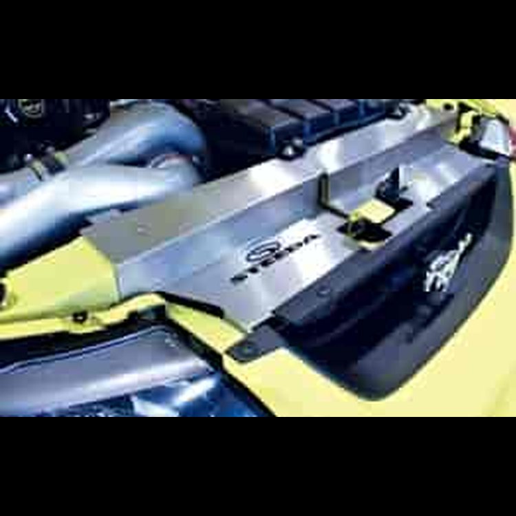 Stainless Steel Radiator Cover 1999-2004 Mustang