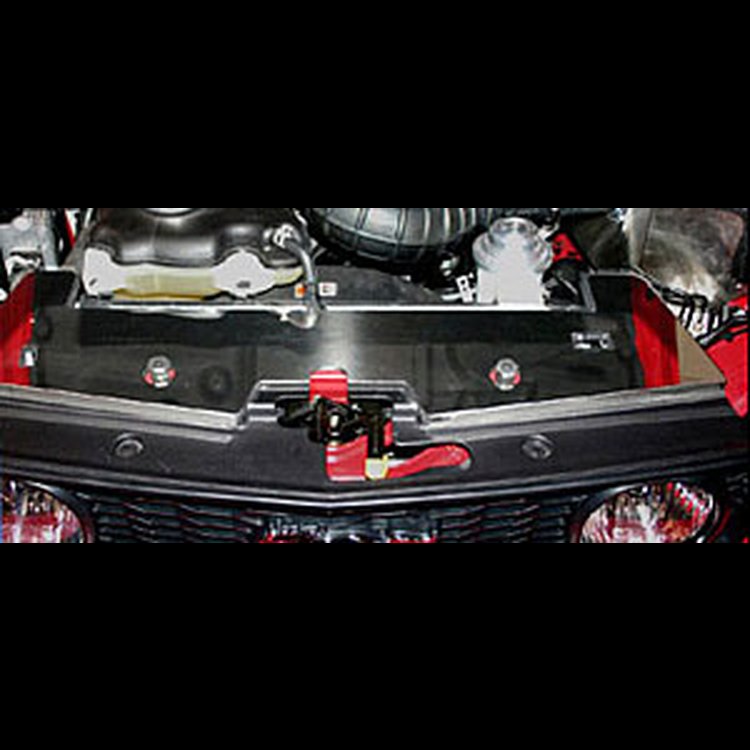 Stainless Steel Radiator Cover 2005-2009 Mustang