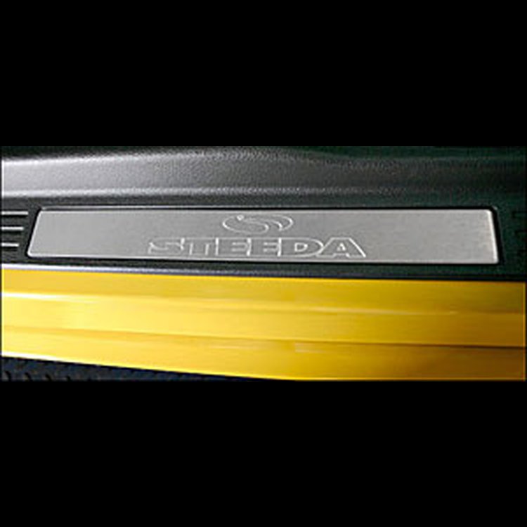 Brushed Aluminum Door Still Plates 2005-2009 Mustang