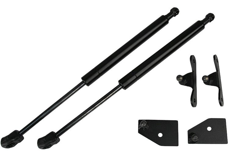 Focus Hood Strut Kit