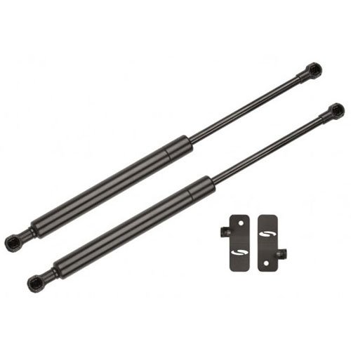 Powder Coated Hood Strut Kit 2015 Mustang